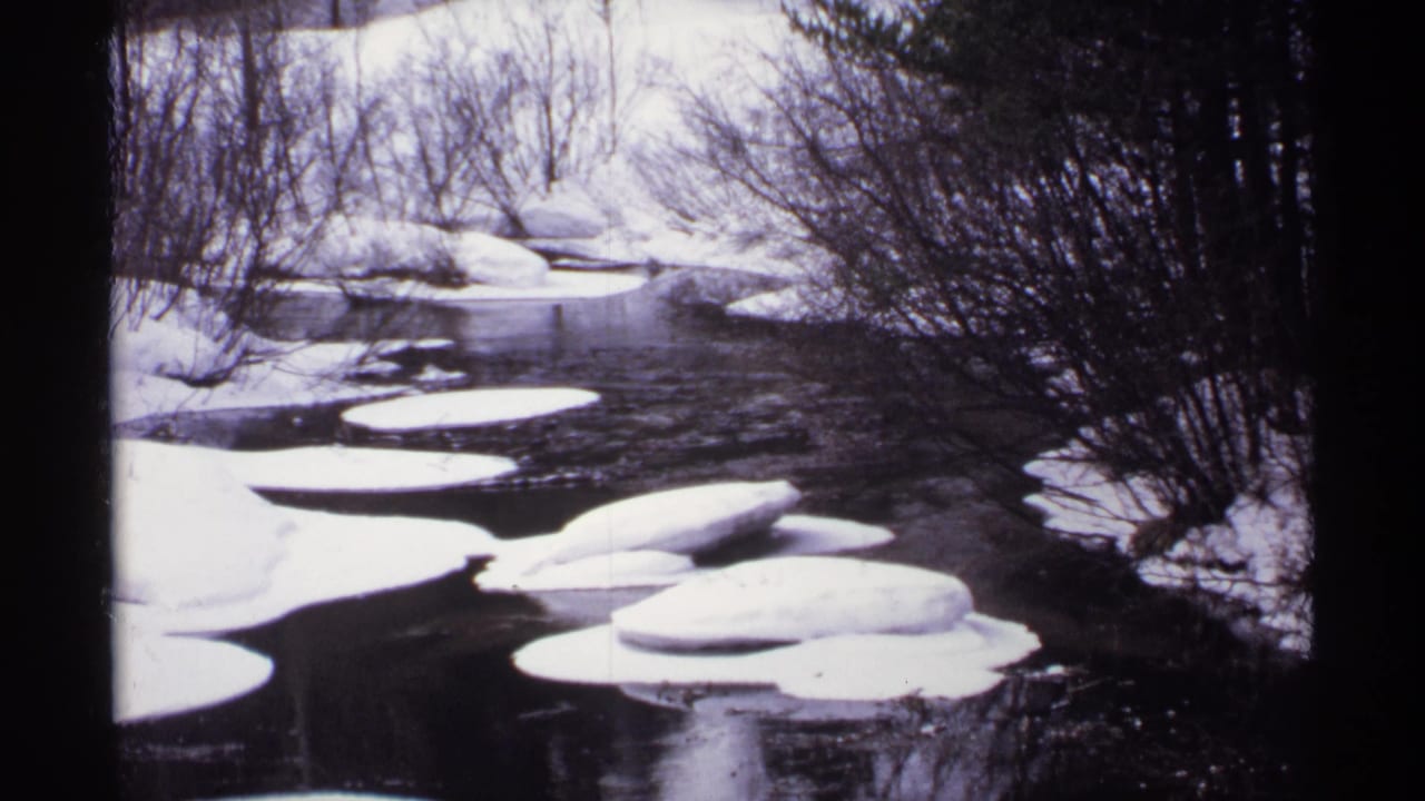 Winter river scene with snowbanks, floating ice, bare shrubs, and trees.
