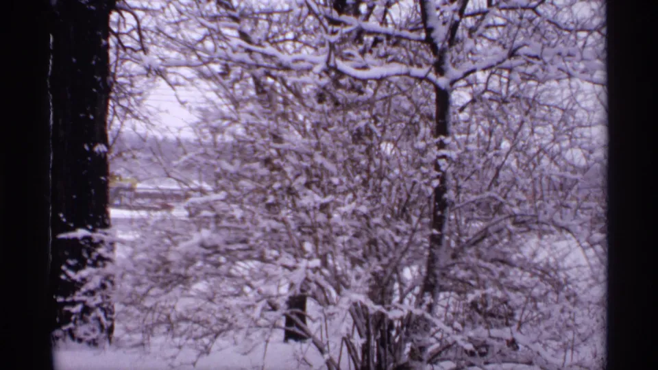 Wisconsin winter view from a window, with snow-coated bare trees and branches under muted light.