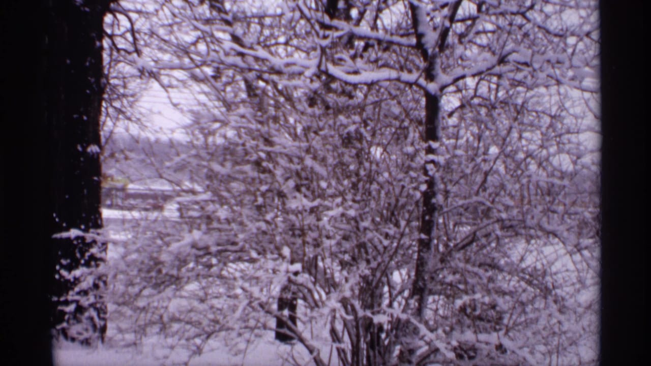 Snow-covered bare trees seen through dark vertical window edges.
