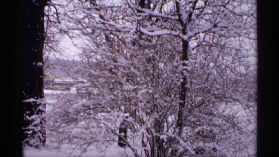 1971 Wisconsin 8mm frame of snow-laden trees and branches viewed from inside or behind a dark frame.