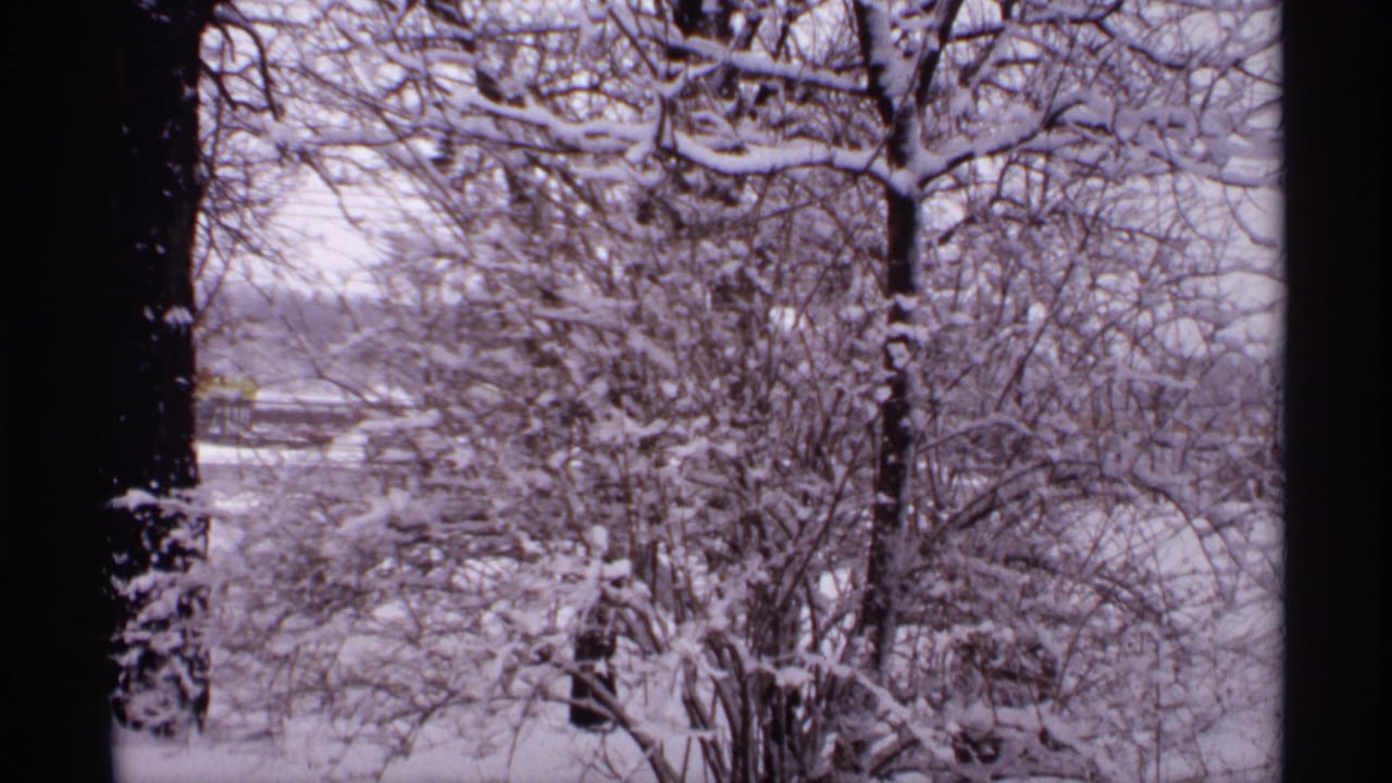 1971 Wisconsin winter view with snow-coated trees and a faint distant city or neighborhood through bare branches.
