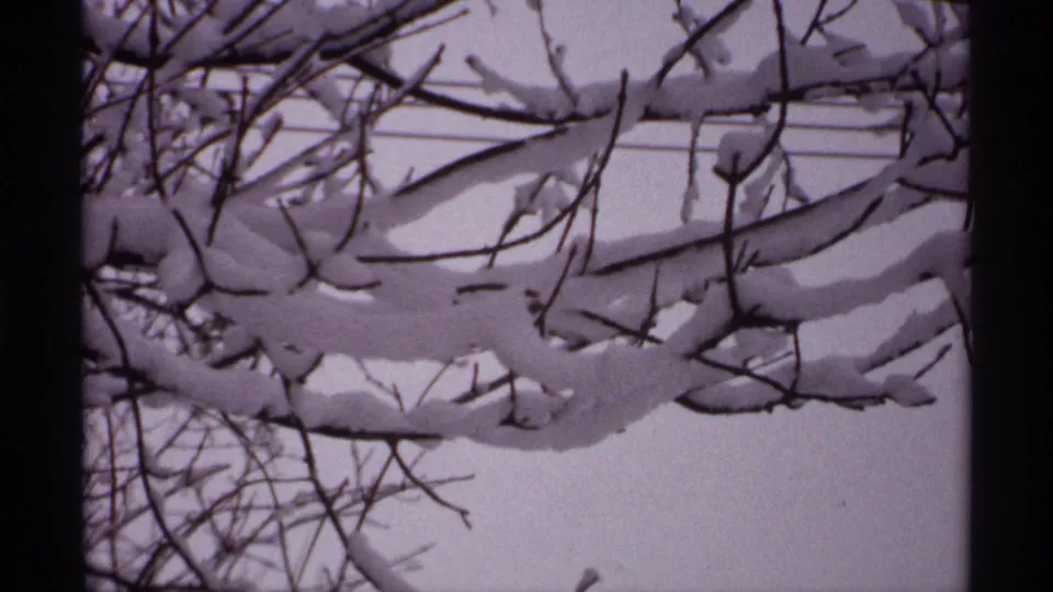 1971 Wisconsin home-movie frame showing snow-laden branches in the foreground and winter trees beyond.