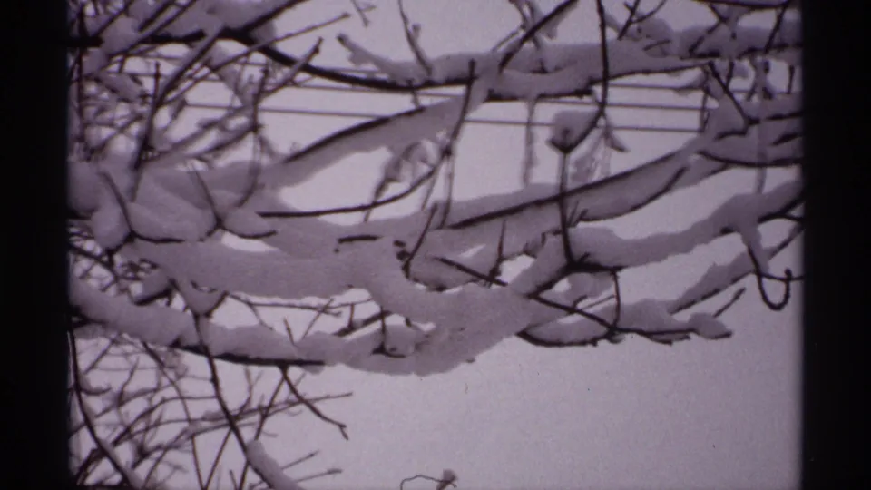 1971 Wisconsin 8mm frame showing snow piled on bare branches against a muted winter sky.