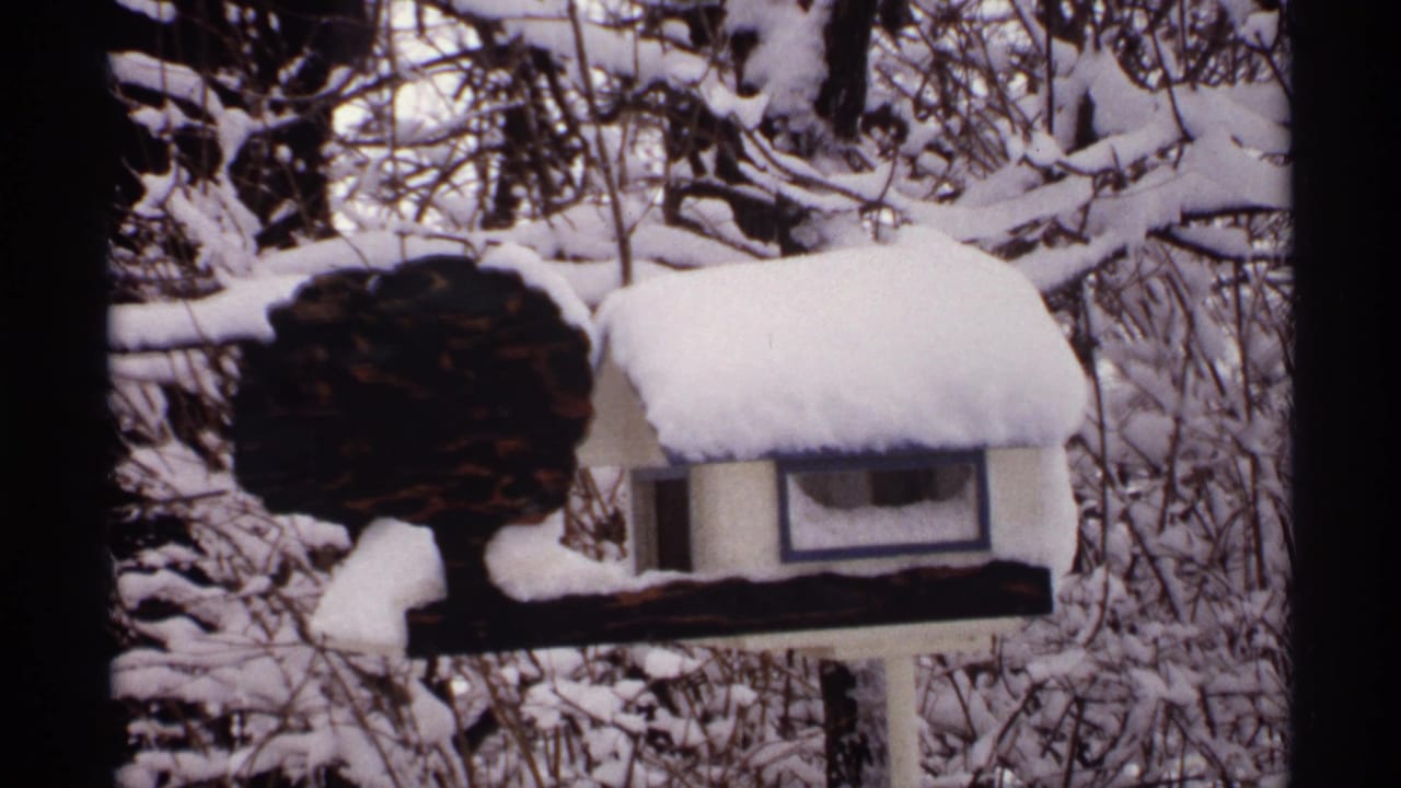 Snow-covered birdhouse beside a dark decorative tree shape among branches.