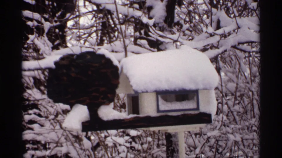 1971 Wisconsin 8mm frame of a small birdhouse capped with snow beside a dark tree-shaped decoration in snowy shrubs.
