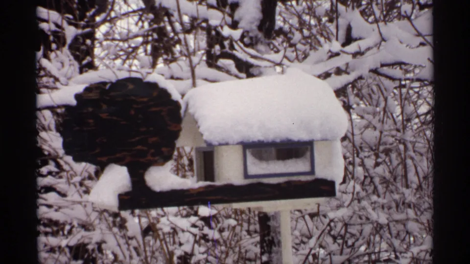 1971 Wisconsin 8mm frame with a snow-capped birdhouse, white post, and dark decorative tree form in a snowy yard.