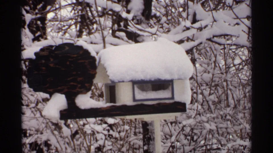 1971 Wisconsin 8mm frame of the birdhouse and decorative tree shape held in a steady snowy backyard composition.