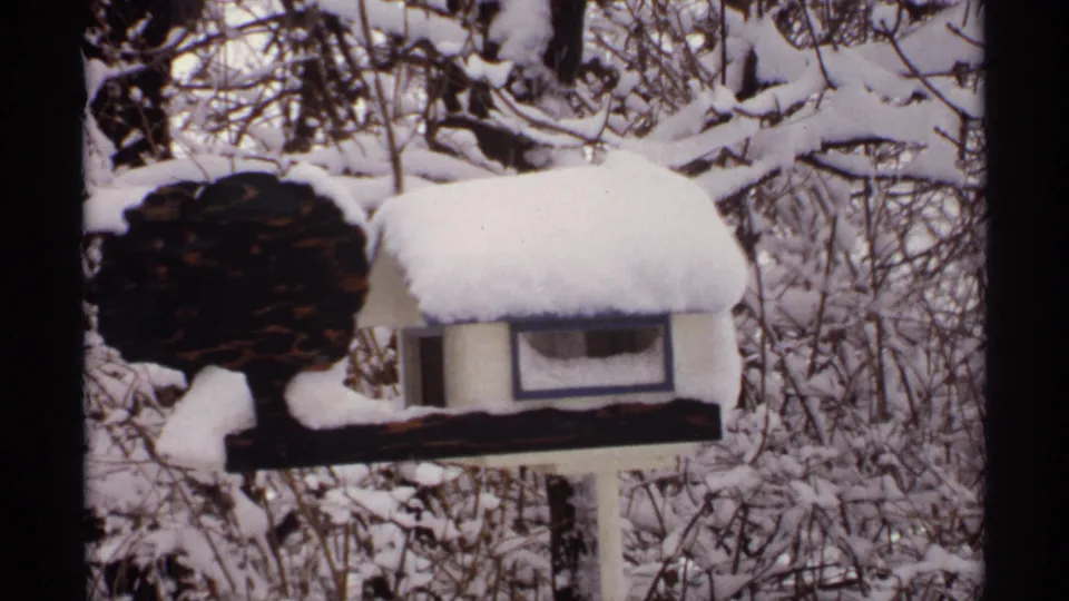 1971 Wisconsin 8mm frame showing a small birdhouse capped with snow among bare, snow-laden winter branches.