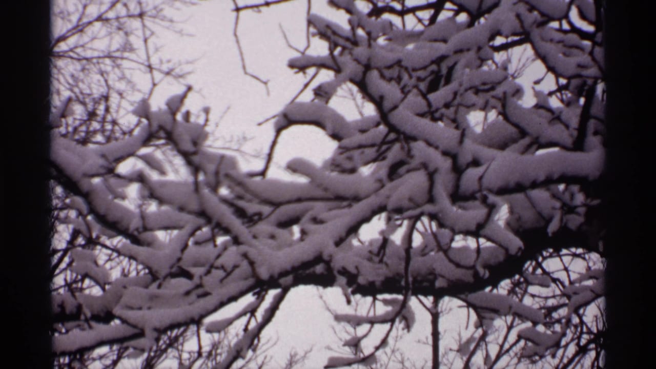 1971 Wisconsin 8mm frame of thick fresh snow resting on tangled bare branches against a grey winter sky.