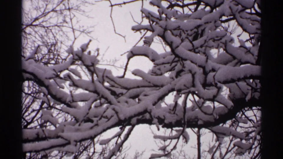 1971 Wisconsin 8mm frame focusing on snow-heavy tree limbs and fine bare twigs in a quiet winter setting.