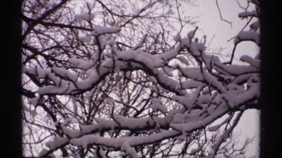 1971 Wisconsin 8mm frame showing snow-coated branches layered across a pale, overcast winter background.