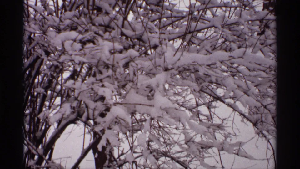 Snow-covered bare branches form a dense winter pattern in a 1971 Wisconsin home-movie frame.