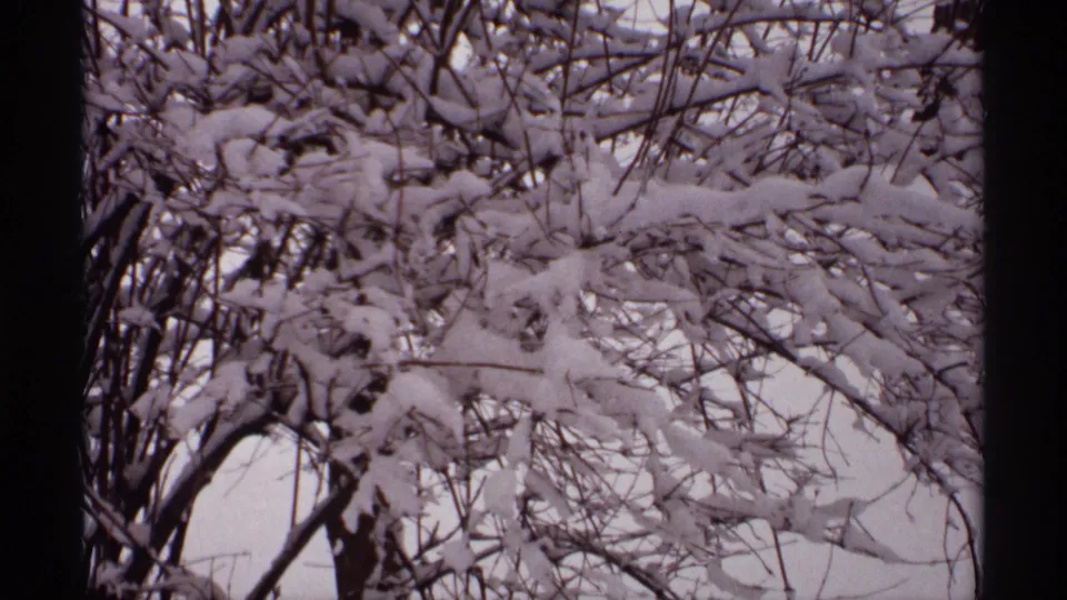 1971 Wisconsin 8mm frame of bare bush branches heavily coated with snow, seen in soft focus with dark scan edges.