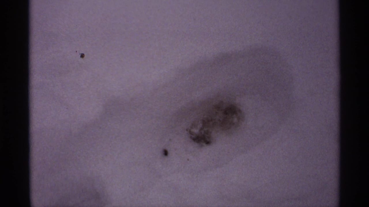 1971 Wisconsin 8mm frame showing an indistinct footprint or depression in smooth snow with small dark specks nearby.