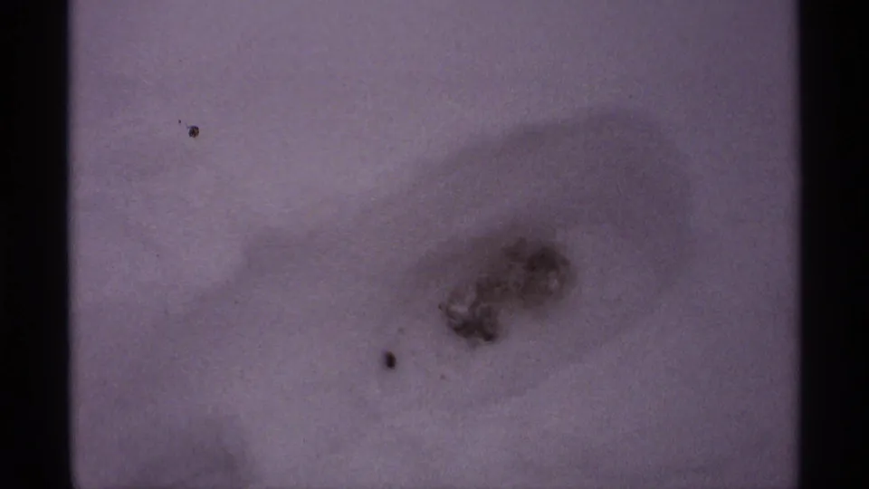 1971 Wisconsin 8mm frame showing an indistinct footprint or depression in smooth snow with small dark specks nearby.