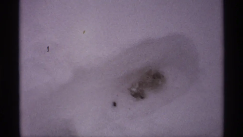 1971 Wisconsin 8mm frame of a soft-edged footprint in deep snow with a small dark object nearby and visible film grain.