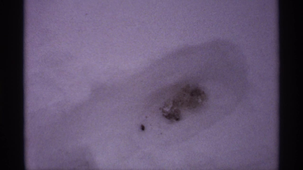 Soft, snowy field with dark film border and a small blurred patch near the center.