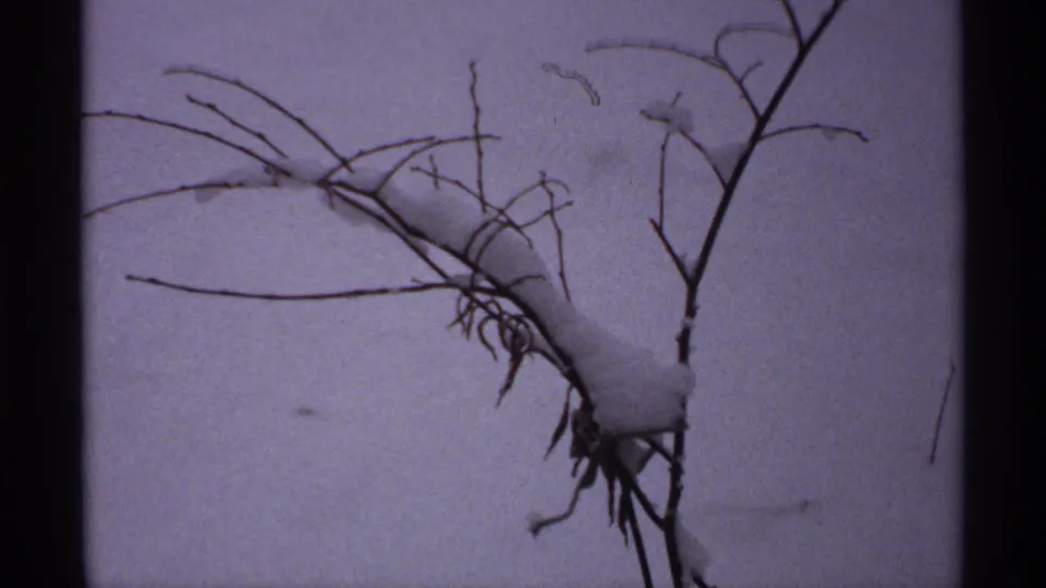 1971 Wisconsin 8mm frame of bare branches carrying rounded clumps of snow, silhouetted against a pale overcast winter background.
