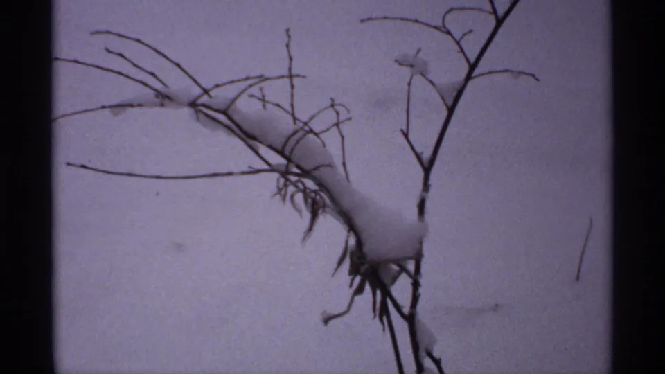 1971 Wisconsin 8mm frame showing snow on bare branches beside a dark fence post or stem, with a white field behind it.