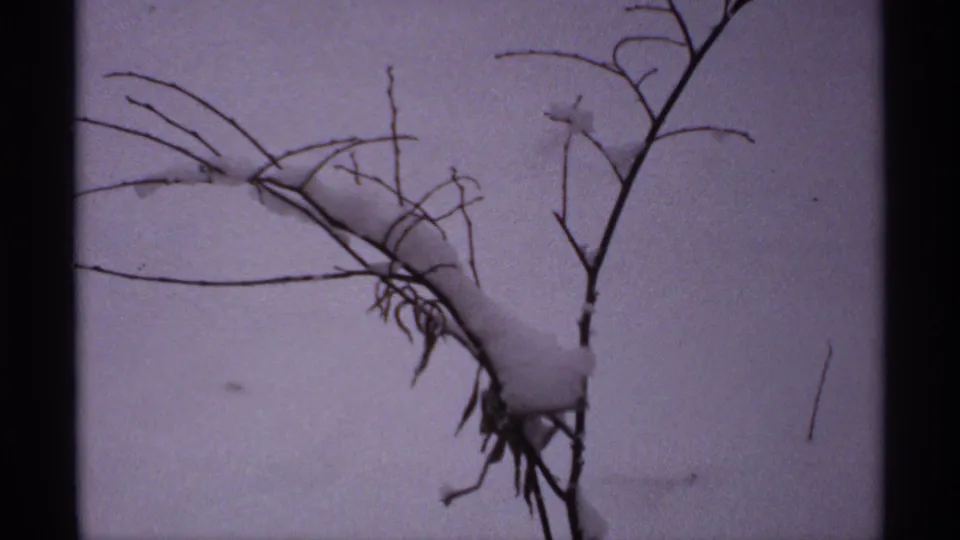 1971 Wisconsin 8mm frame of snow resting on bare branches in the foreground, with an open white field and pale winter background beyond.