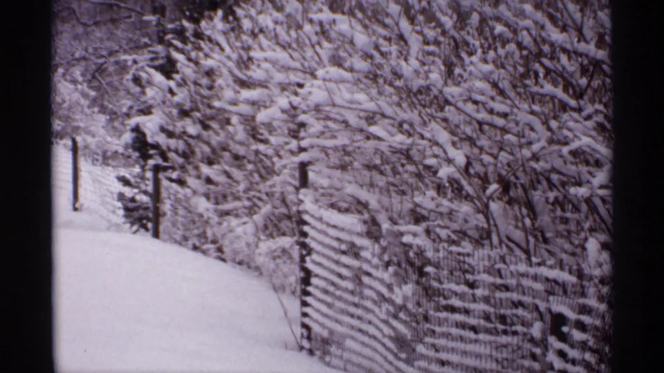 1971 Wisconsin 8mm frame showing a snowy path, wire fence, posts, and snow-laden shrubs in a quiet winter landscape.