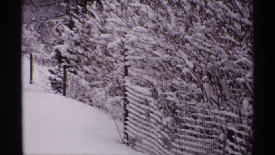 1971 Wisconsin winter view with a snowbank, wire fence, dark posts, and dense snow-covered brush.