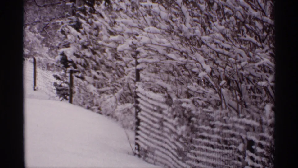 1971 Wisconsin 8mm still of a fence line and snow-covered path framed by dense winter shrubs and branches.