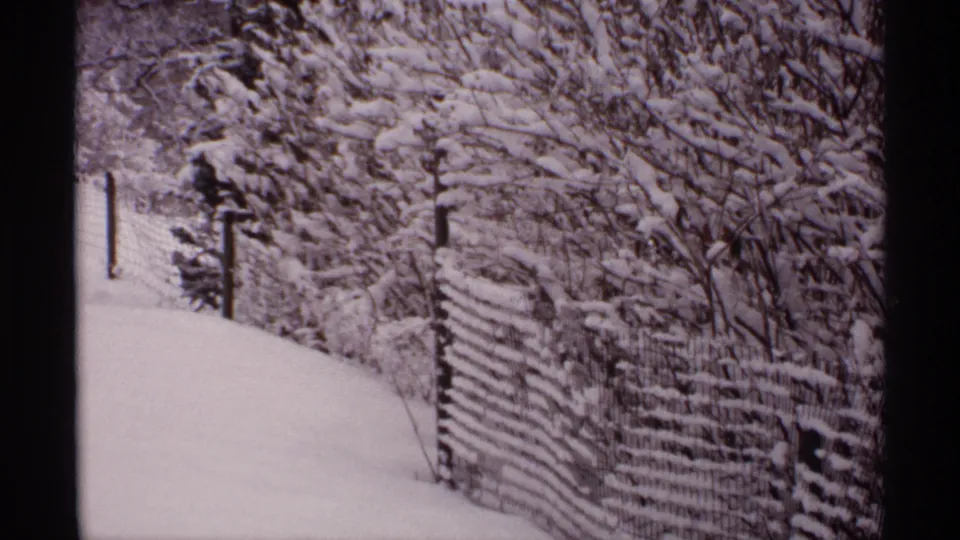 1971 Wisconsin winter frame showing a quiet snow path, wire fencing, posts, and tangled branches coated in snow.