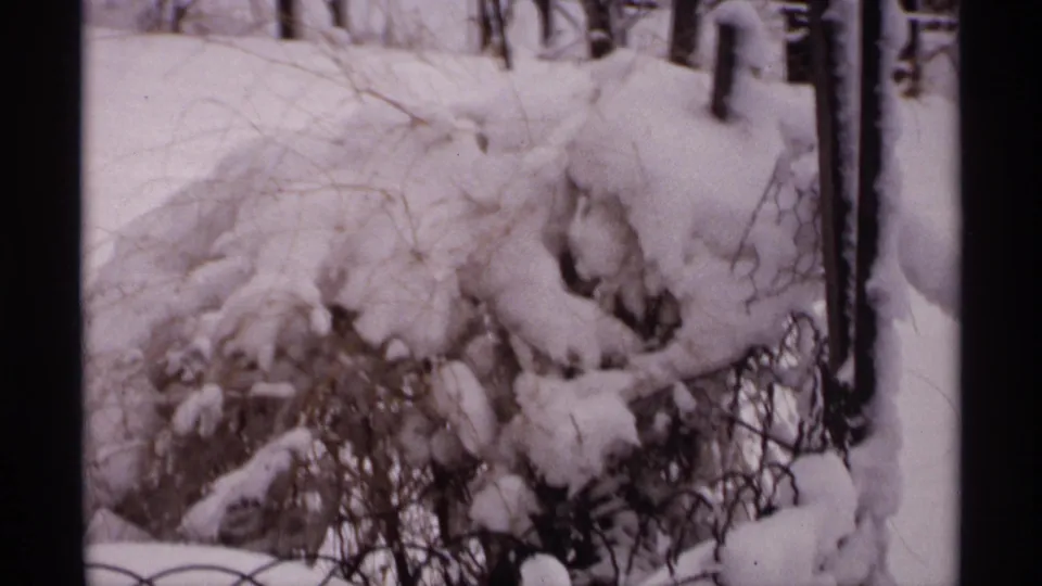 1971 Wisconsin 8mm frame showing snow piled on shrubs, branches, tree trunks, and a wire fence in a quiet winter setting.