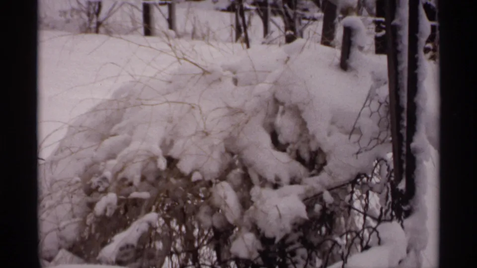 1971 Wisconsin 8mm view of snow-covered shrubs, tangled branches, and a fence, with muted color and visible film texture.