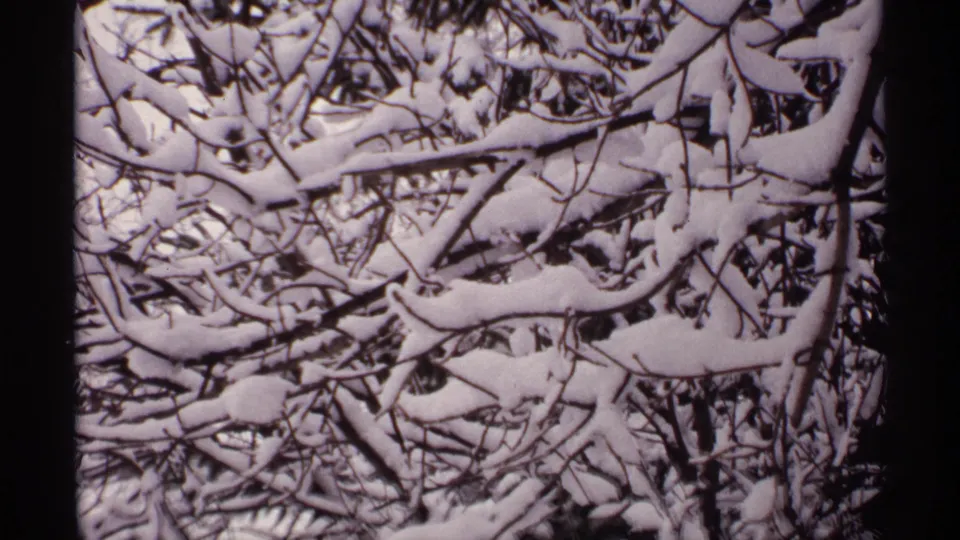 1971 Wisconsin 8mm frame showing interlaced branches heavily coated with snow, with high contrast between dark twigs and white snow.