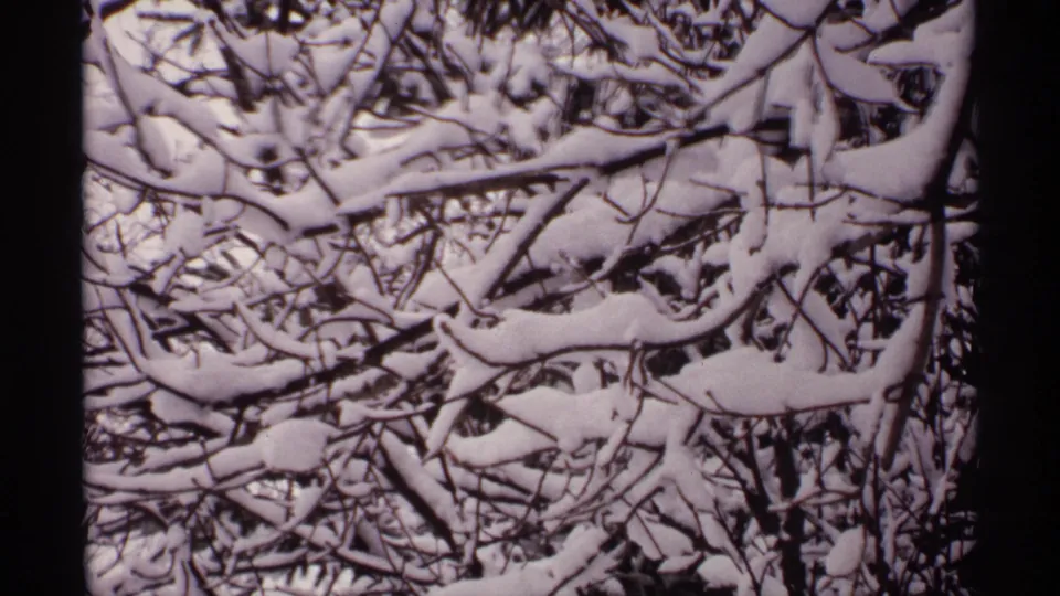 Close 1971 Wisconsin 8mm view of bare tree branches heavily coated with snow.