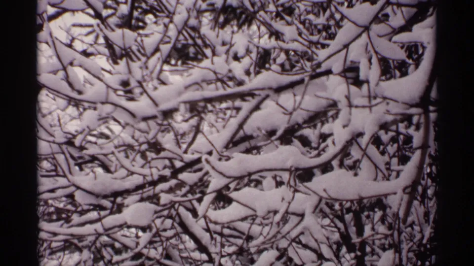 Close winter view of snow-packed branches and twigs in Wisconsin, recorded on 8mm home-movie film.
