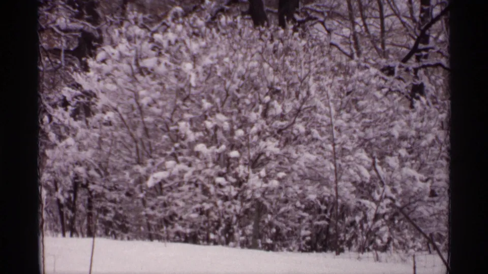 Wider 8mm frame of Wisconsin trees and bushes coated in snow, with a pale snowbank across the foreground.