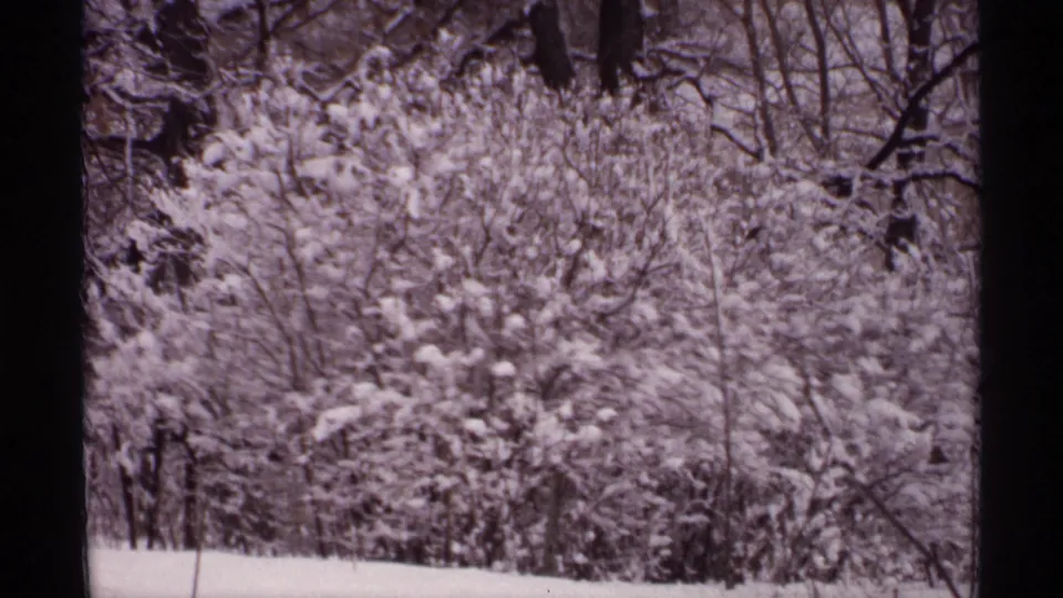 1971 Wisconsin 8mm frame of a quiet snowy wooded area with bare trees and a smooth white ground surface.