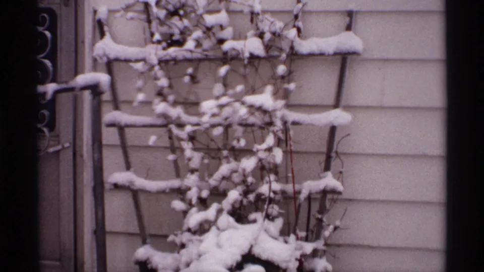 1971 Wisconsin 8mm frame showing a garden trellis and climbing plants covered with snow beside light house siding.