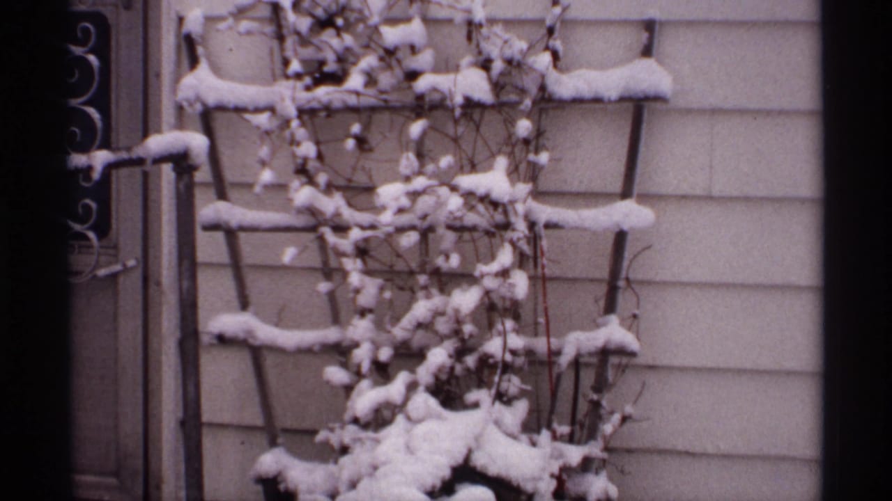 Snow-covered trellis and dormant vines beside light house siding.