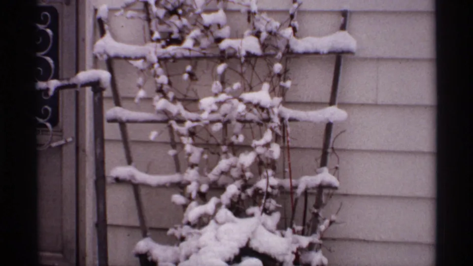 1971 Wisconsin 8mm frame showing snow on a garden trellis and bare vines against light residential siding.