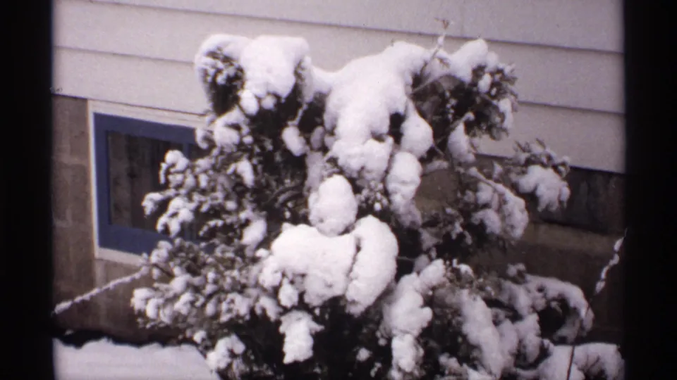 1971 Wisconsin 8mm frame showing a shrub heavily blanketed with snow below light siding and a basement window.