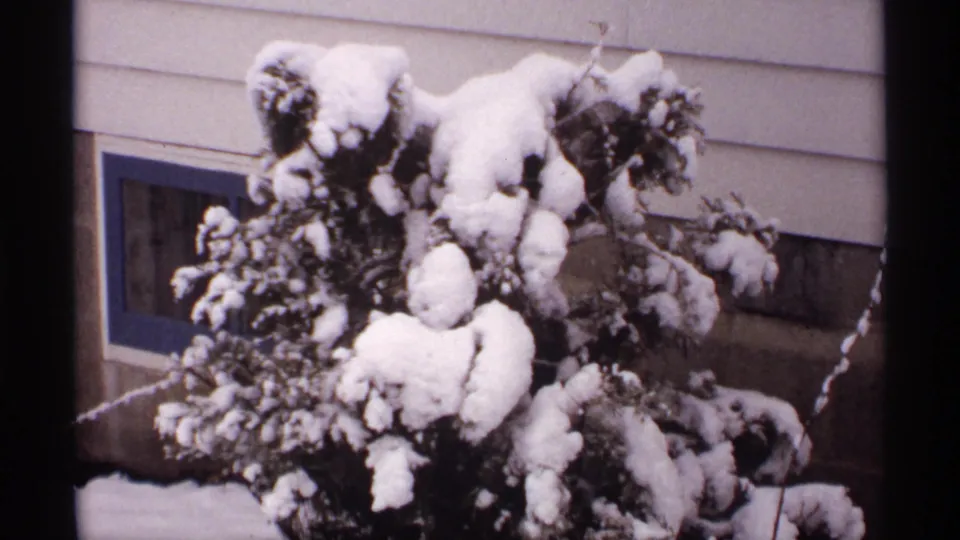 1971 Wisconsin home-movie frame of dense snow on garden shrubs beside a light-sided house exterior.