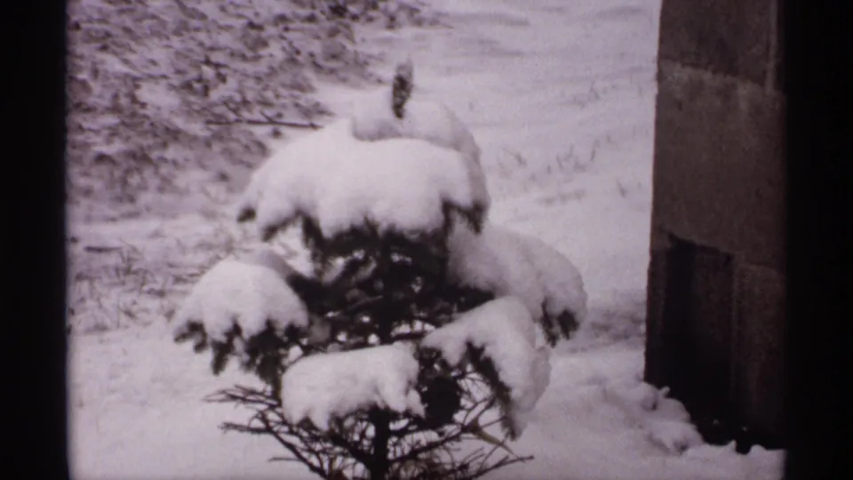 1971 Wisconsin 8mm frame of a small evergreen shrub under thick snow in a quiet residential winter yard.