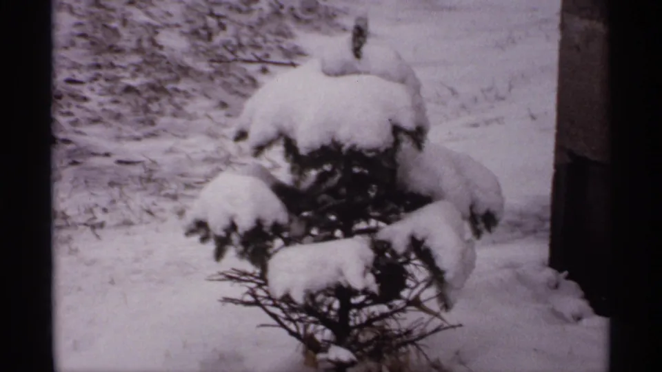 1971 Wisconsin 8mm frame of a snow-capped evergreen shrub in a residential yard, with a dark exterior edge at right.