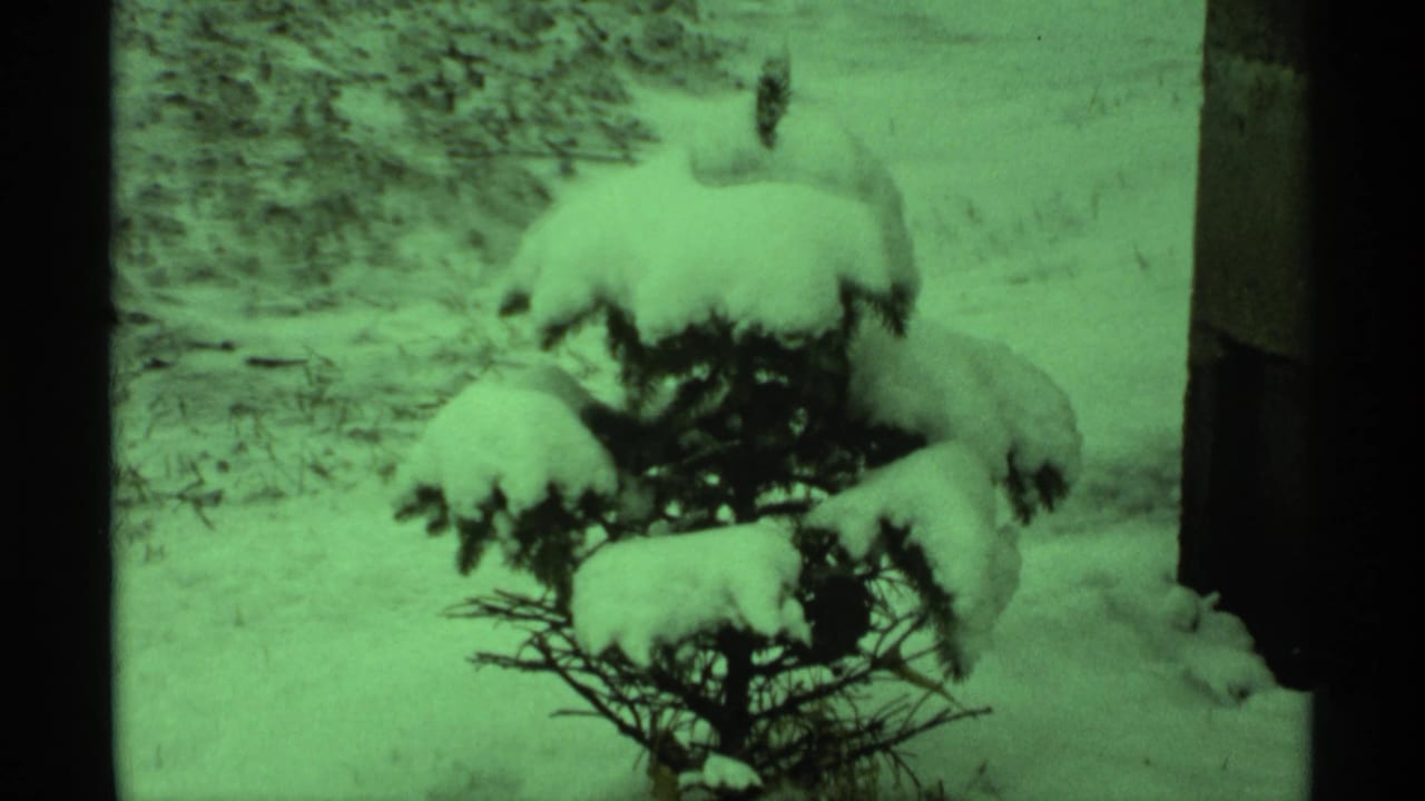 Green-tinted 8mm frame of a snow-covered bush outdoors in the Wisconsin winter sequence.