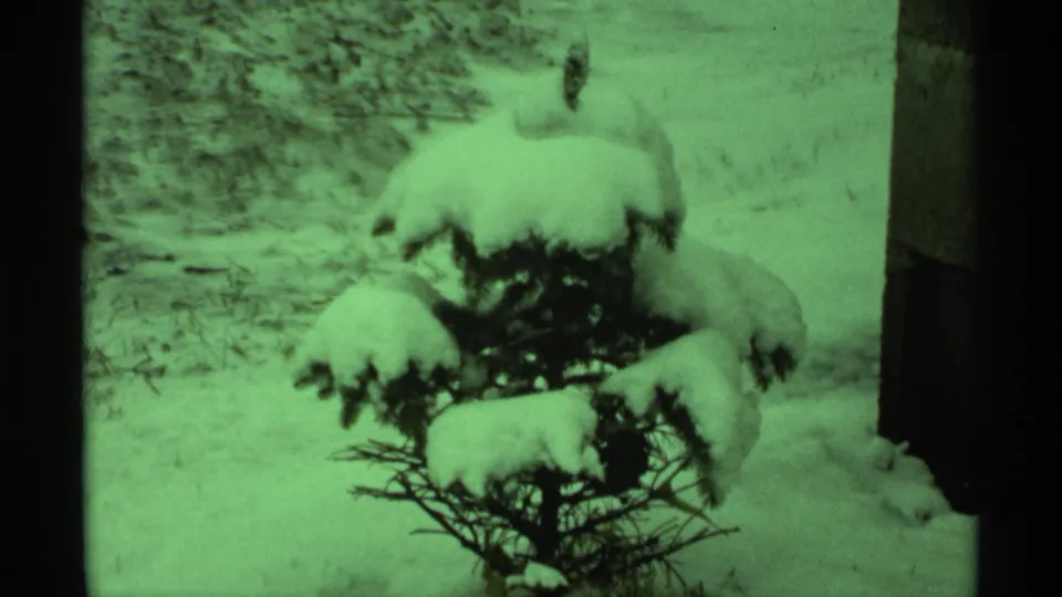 Green-tinted 8mm frame of a snow-covered bush outdoors in the Wisconsin winter sequence.