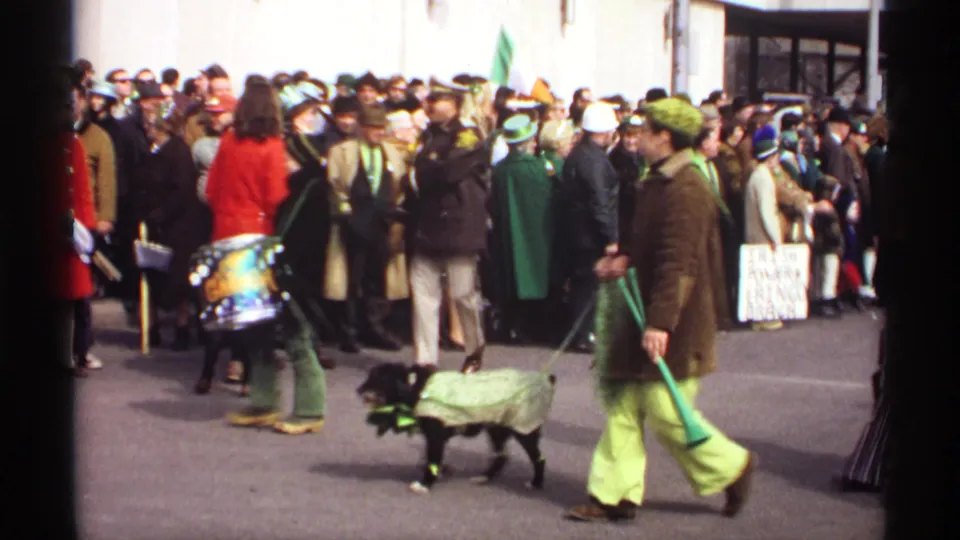 A Wisconsin St. Patrick's Day parade scene shows a drummer, dense crowd, Irish colors, and a dog dressed in green moving along the street.