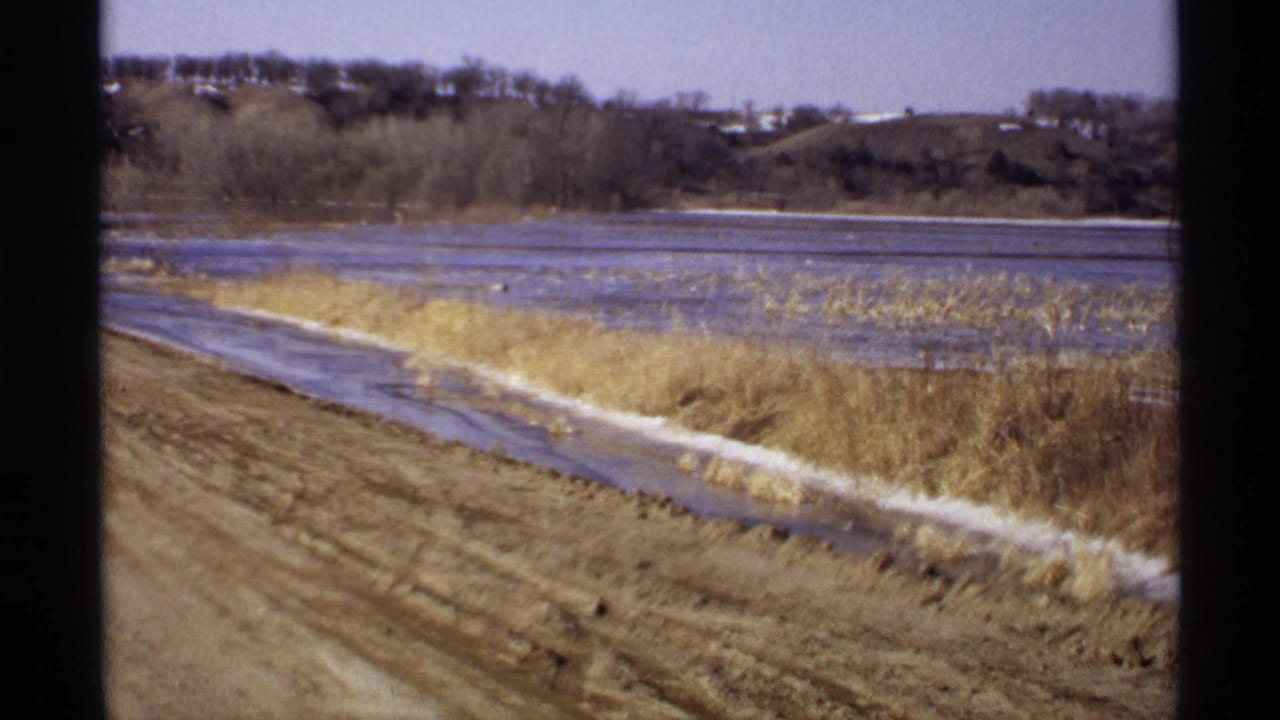 Low lakeshore with muddy road edge, dry reeds, shallow water, bare trees, and hillside beyond.