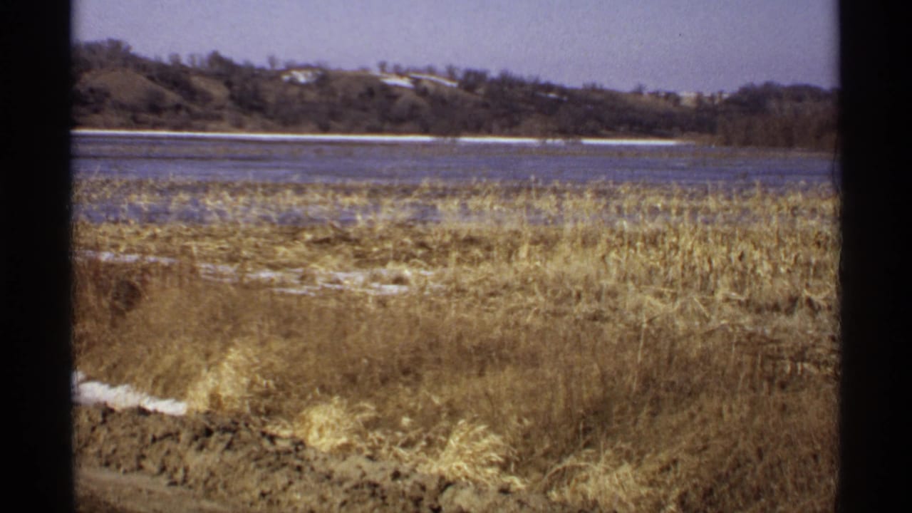 Lakeside reeds and snow patches with water, trees, and low hills in the distance.