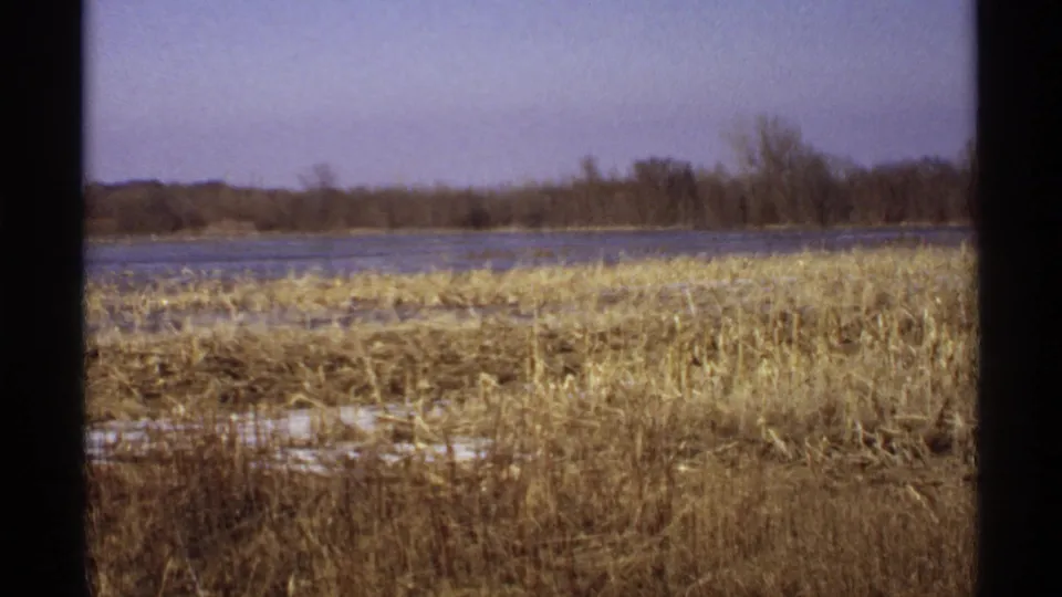 1971 Wisconsin 8mm frame showing marsh grass, snow remnants, open lake water, and a bare tree line under a pale sky.