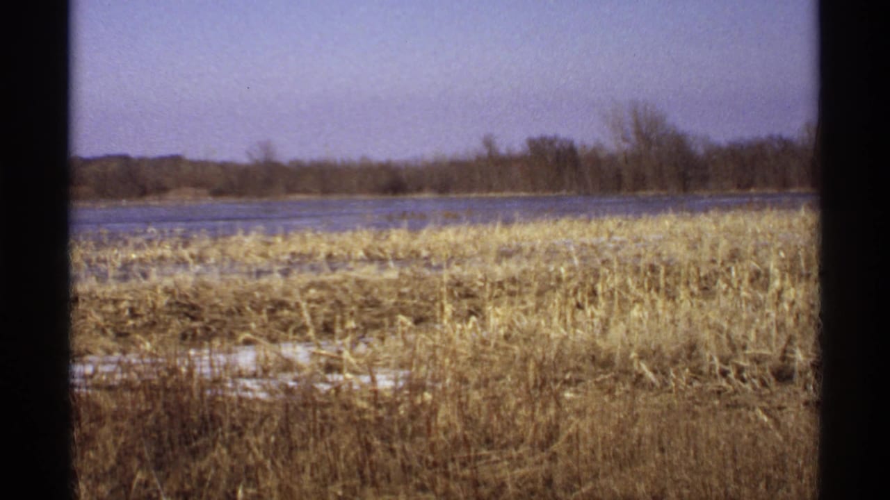1971 Wisconsin 8mm frame showing dry lakeside grass, calm water, distant bare trees, and dark film borders.