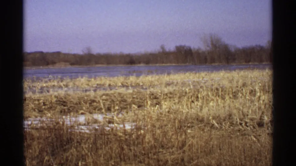 1971 Wisconsin 8mm frame showing dry lakeside grass, calm water, distant bare trees, and dark film borders.